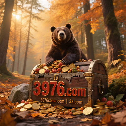 3976.com